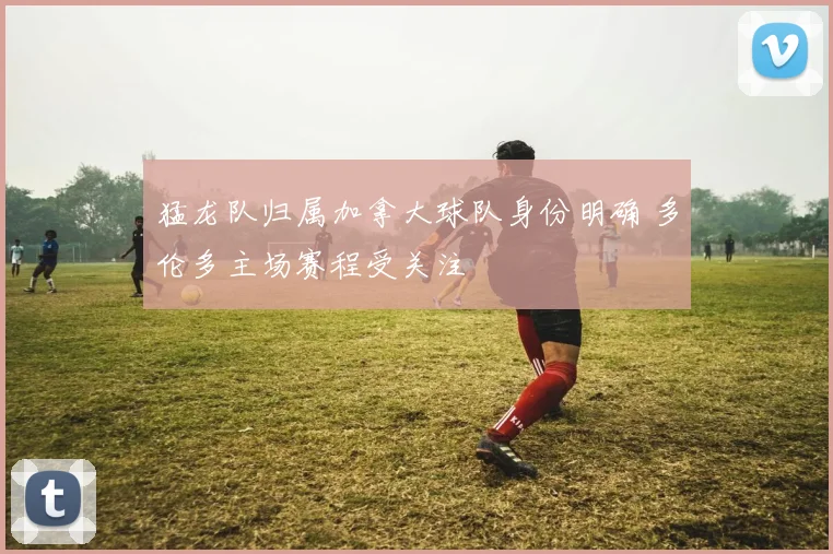 猛龙队归属加拿大球队身份明确 多伦多主场赛程受关注