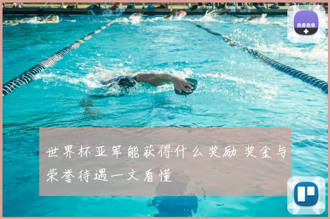 世界杯亚军能获得什么奖励 奖金与荣誉待遇一文看懂