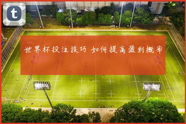 世界杯投注技巧 如何提高盈利概率