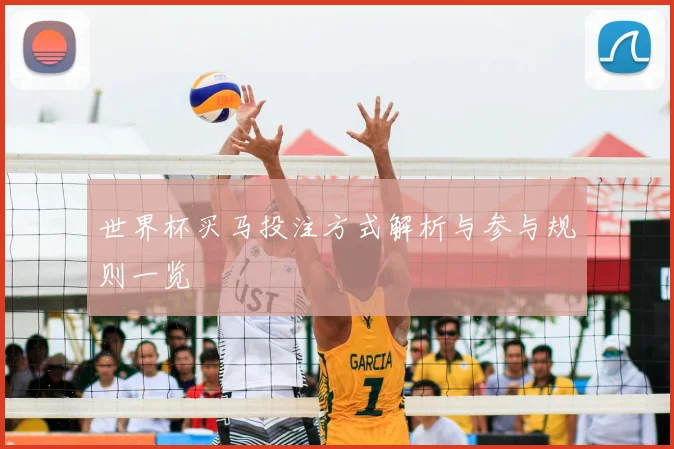 世界杯买马投注方式解析与参与规则一览