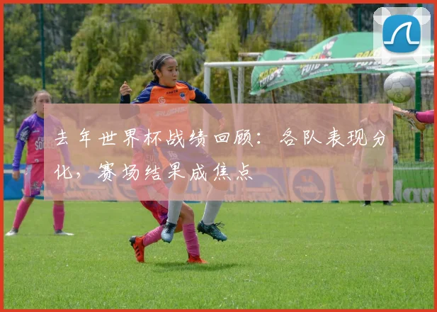 去年世界杯战绩回顾：各队表现分化，赛场结果成焦点