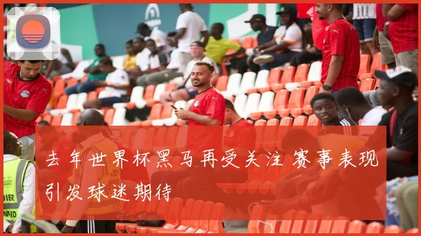 去年世界杯黑马再受关注 赛事表现引发球迷期待