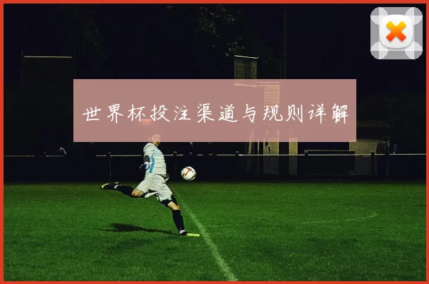 世界杯投注渠道与规则详解