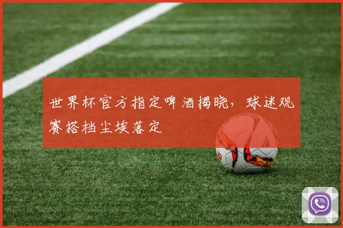 世界杯官方指定啤酒揭晓,球迷观赛搭档尘埃落定