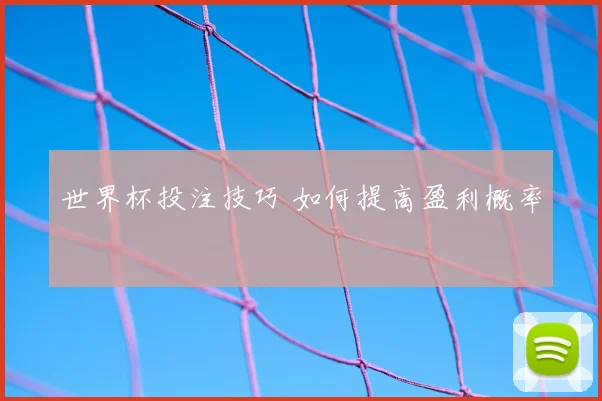 世界杯投注技巧 如何提高盈利概率